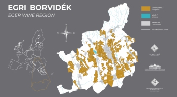 Regiunea viticola Eger - Istoric, Terroir, Soiuri de Struguri si Egri Bikaver
