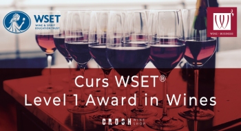 CURS WSET Level 1 Award in Wines la Cluj