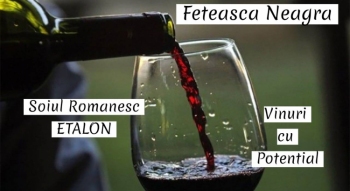 Feteasca Neagra - Soiul de Struguri si Vinul Romanesc Fanion al Zilelor Noastre