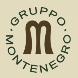 Logo MONTENEGRO srl