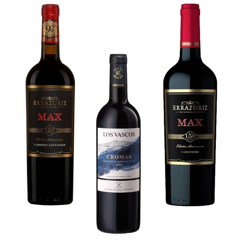 Good Value Signiture Wines from Chile – 4 Pack